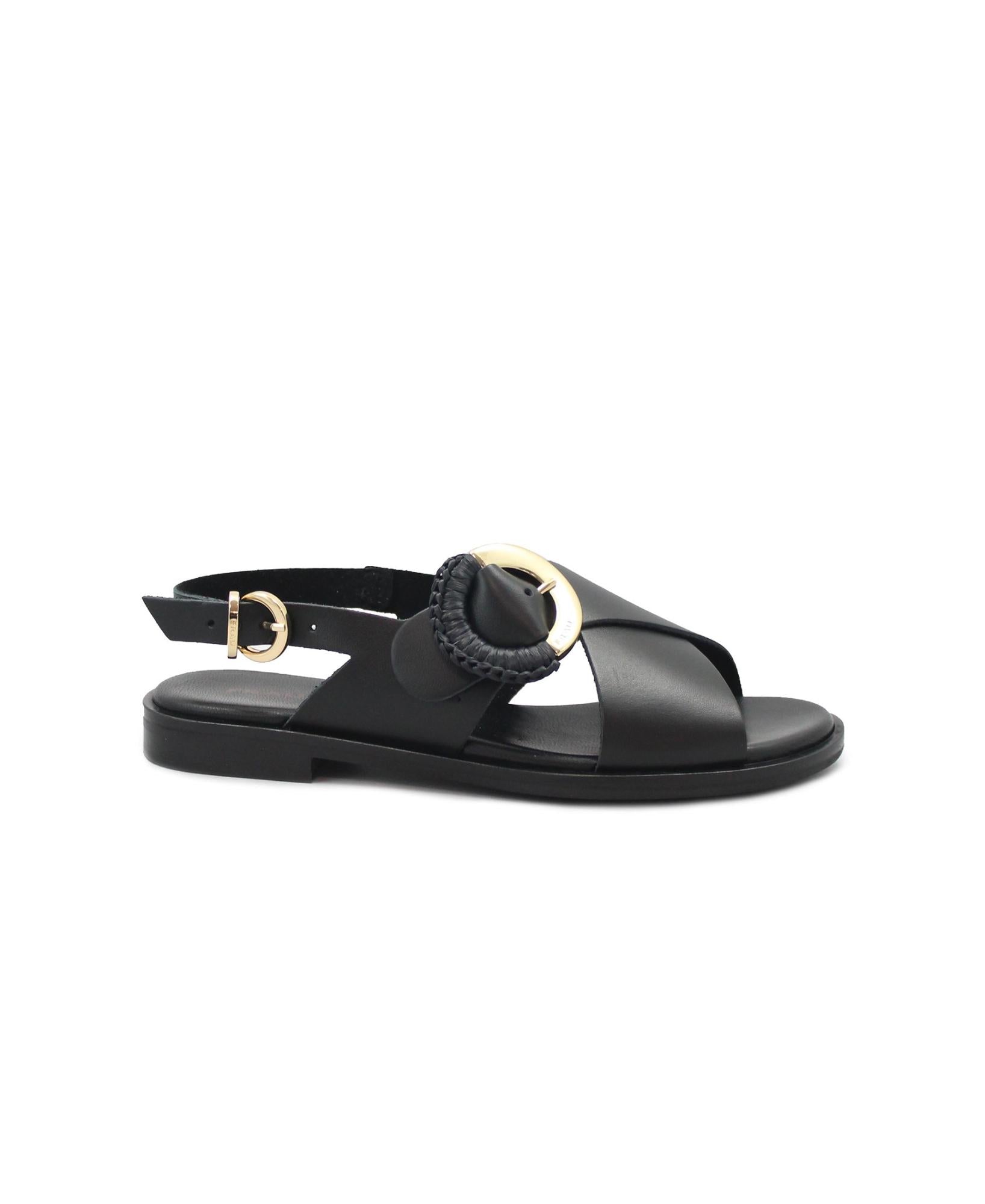 gid://shopify/Product/15738560774476_1