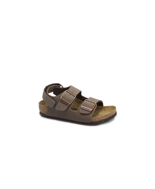 gid://shopify/Product/15738232635724_1