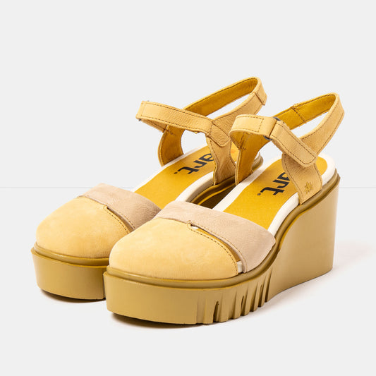 gid://shopify/Product/16173099188556_2