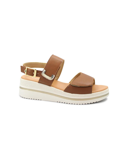 gid://shopify/Product/15738609828172_1