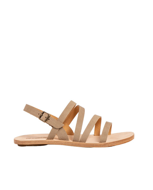 gid://shopify/Product/15700053000524_1