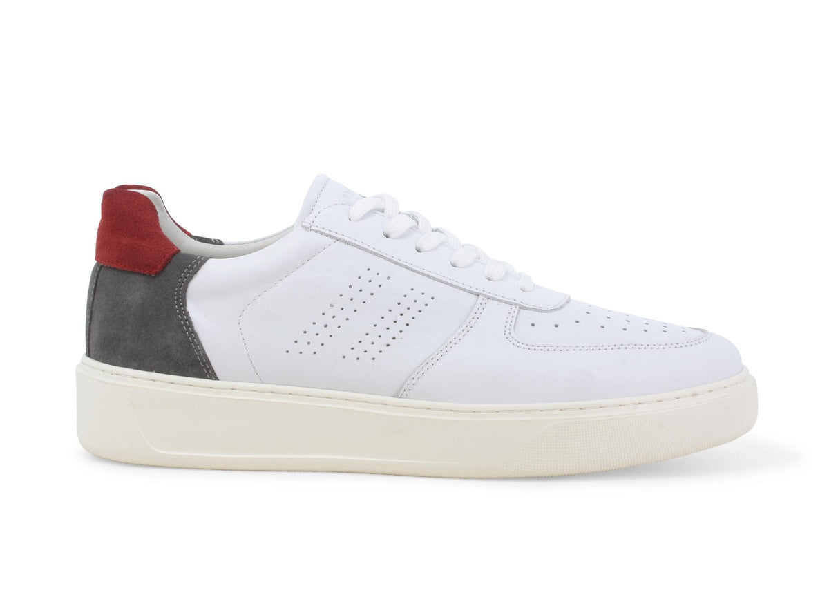 gid://shopify/Product/15685910331724_1