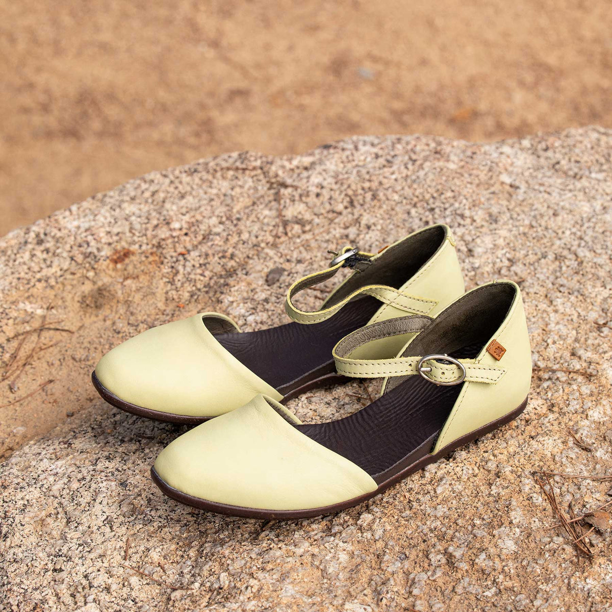 gid://shopify/Product/16124885926220_2