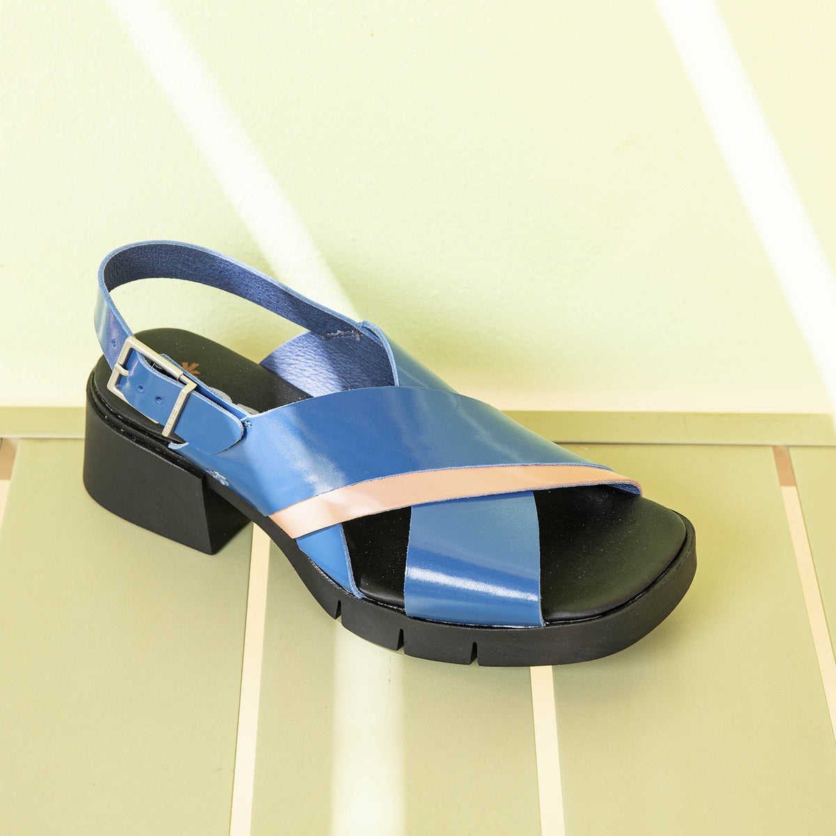 gid://shopify/Product/16173095911756_2