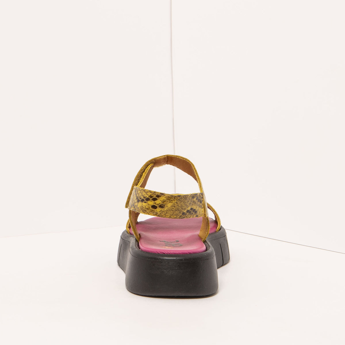 gid://shopify/Product/16172066406732_5
