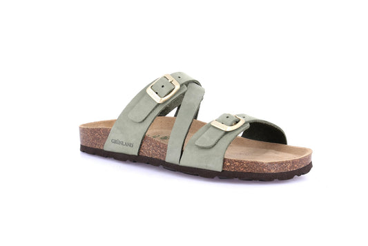 gid://shopify/Product/15755016241484_57521213538636