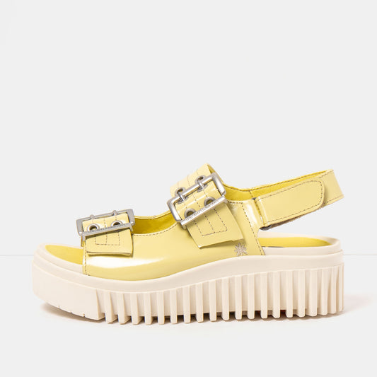 gid://shopify/Product/16172938985804_1
