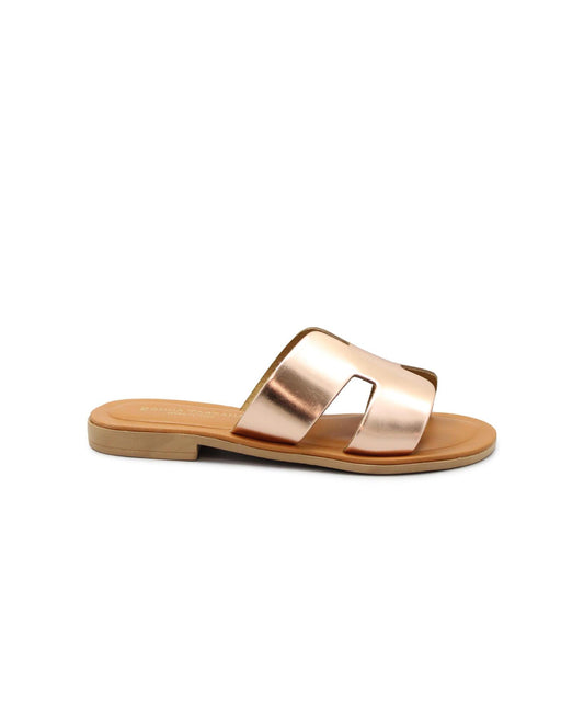 gid://shopify/Product/15738536264012_1