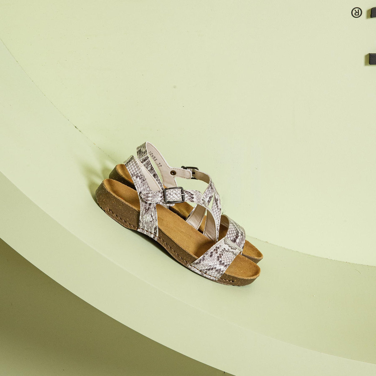 gid://shopify/Product/16172860473676_7