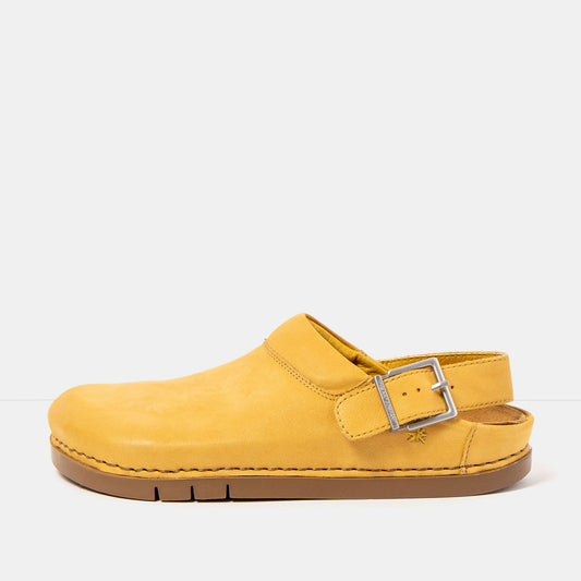 gid://shopify/Product/16173071958348_1