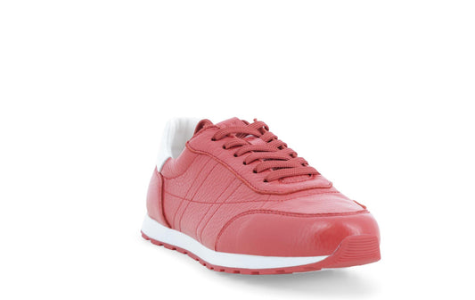 gid://shopify/Product/15686341460300_2