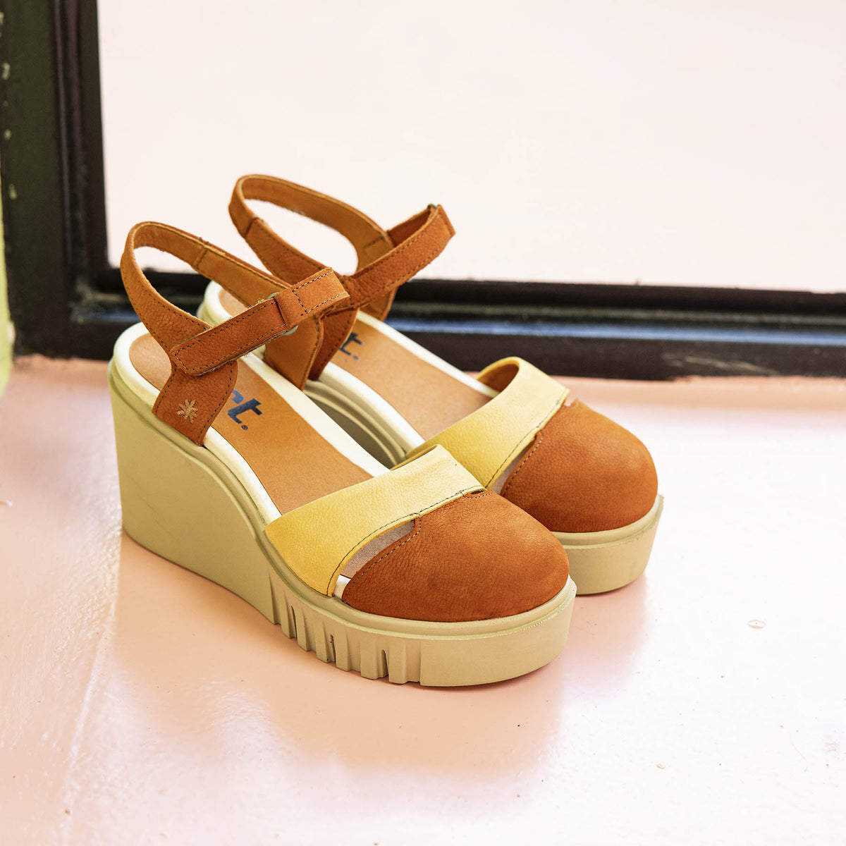gid://shopify/Product/16173099188556_7