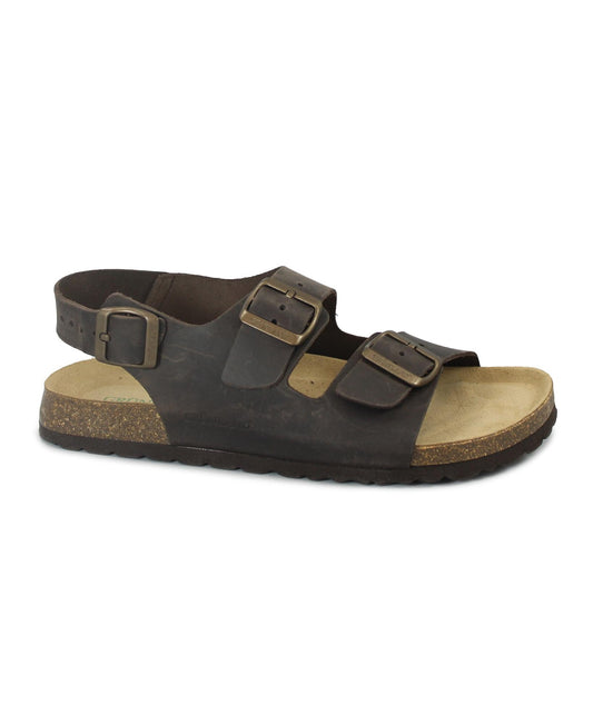 gid://shopify/Product/15808781582668_1