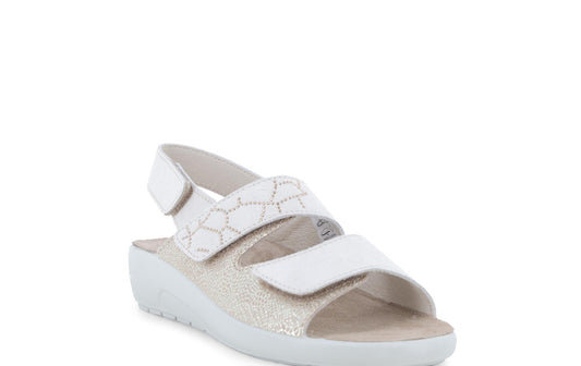 gid://shopify/Product/15761226727756_2