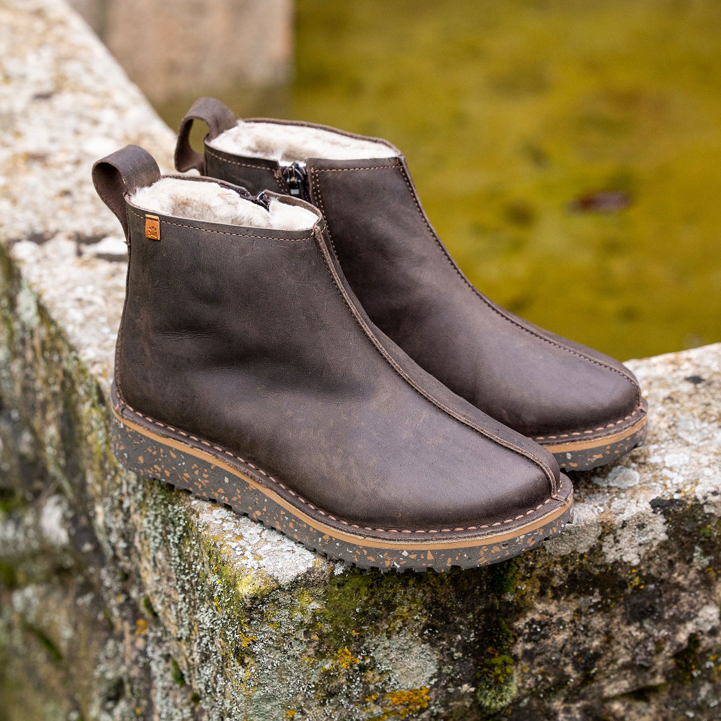 gid://shopify/Product/15700854505804_7