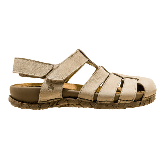 gid://shopify/Product/15700129939788_1