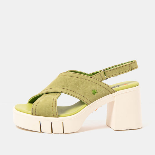 gid://shopify/Product/16173032538444_1