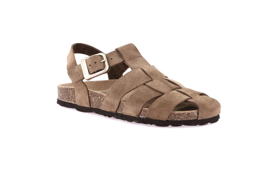 gid://shopify/Product/15754944282956_1
