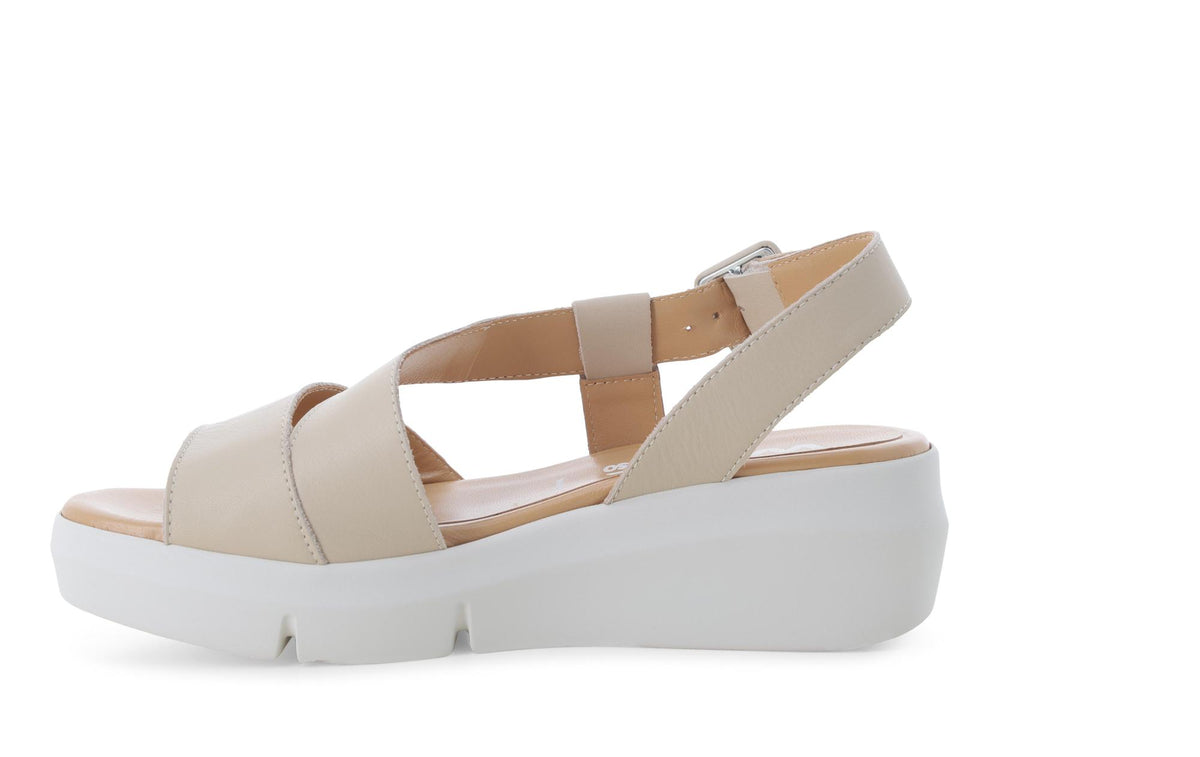 gid://shopify/Product/15761228038476_4