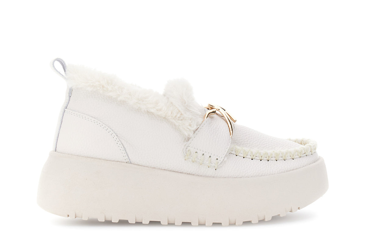 gid://shopify/Product/16176172171596_59122290721100