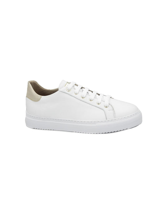 gid://shopify/Product/15738099138892_1
