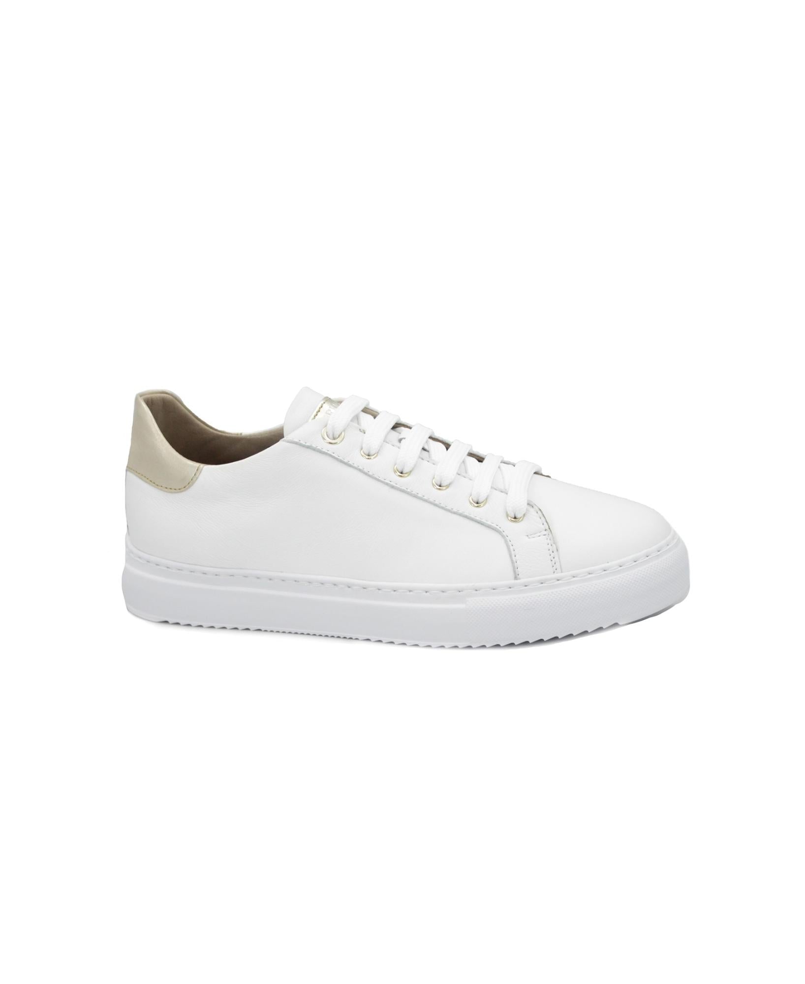 gid://shopify/Product/15738099138892_1