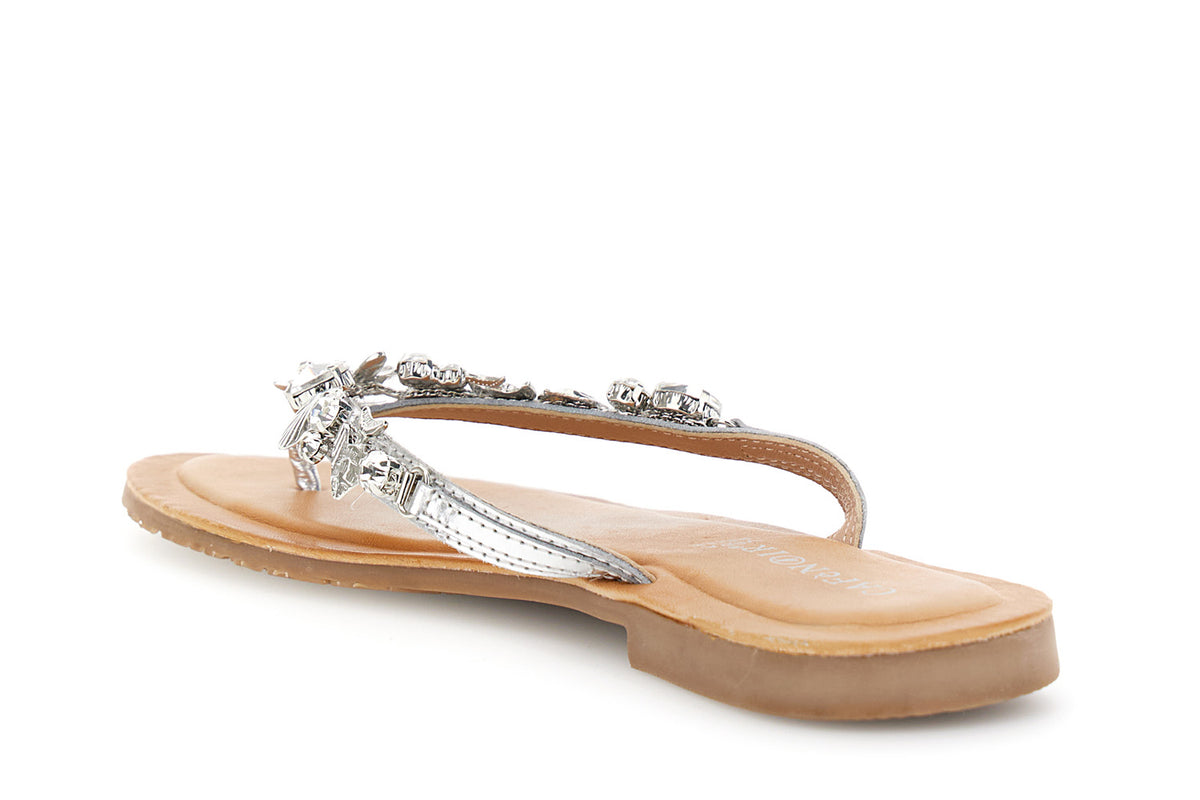 gid://shopify/Product/16176316842316_2