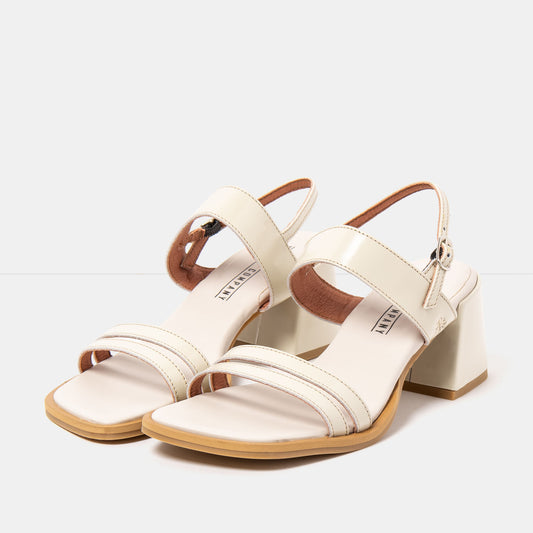 gid://shopify/Product/16173054329164_2