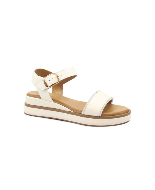 gid://shopify/Product/15738641940812_1
