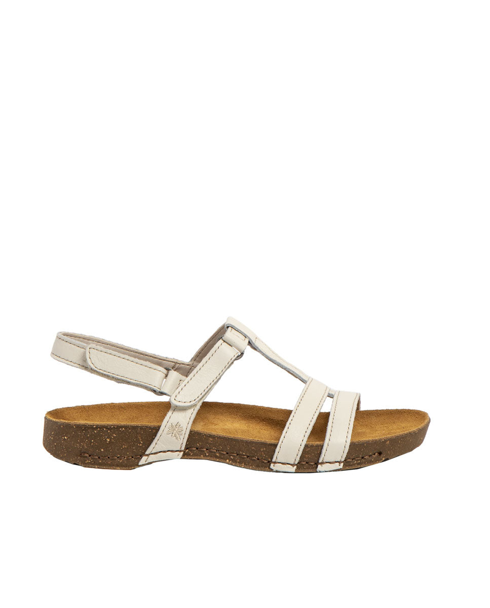 gid://shopify/Product/15785676013900_9