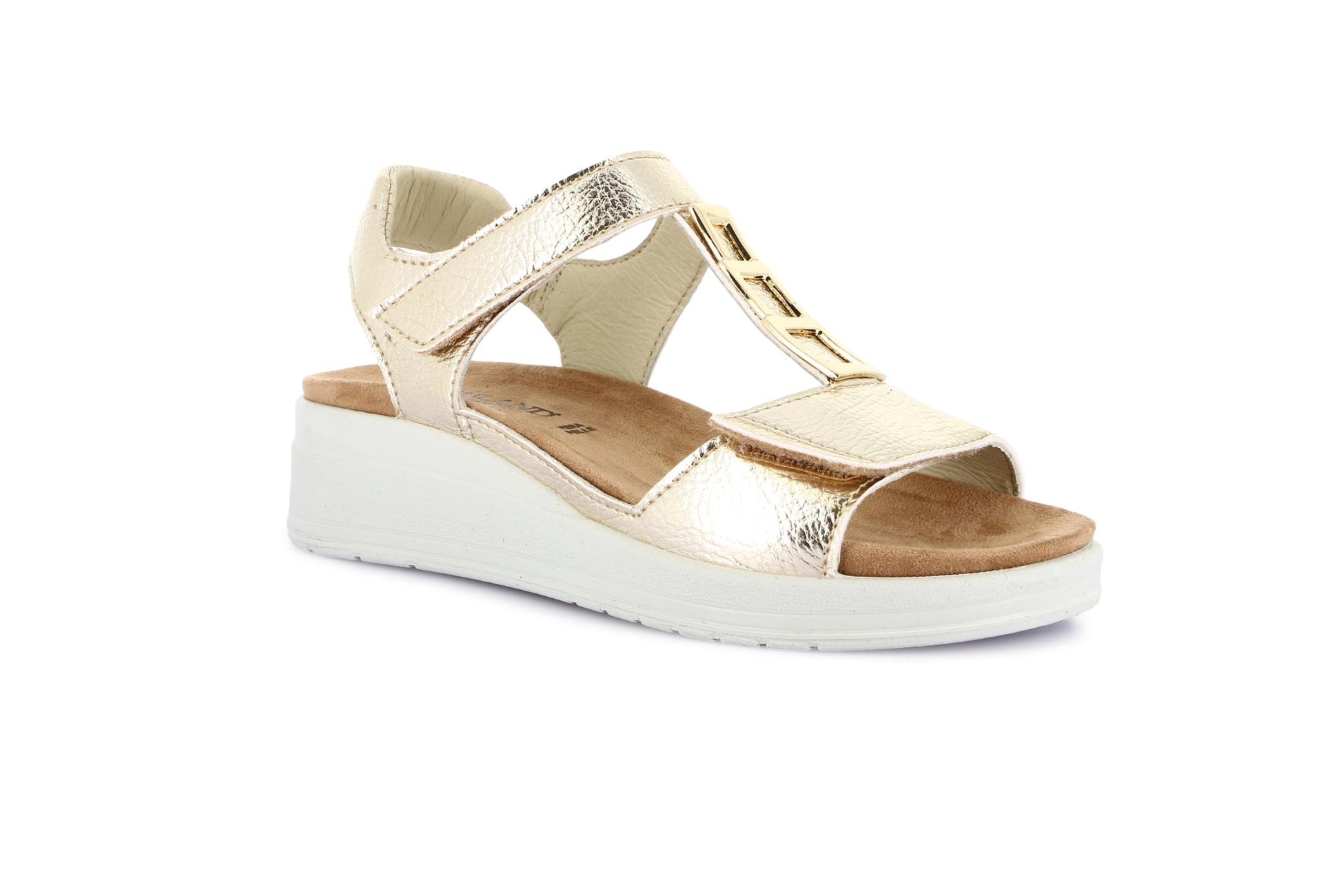 gid://shopify/Product/15798270853452_1