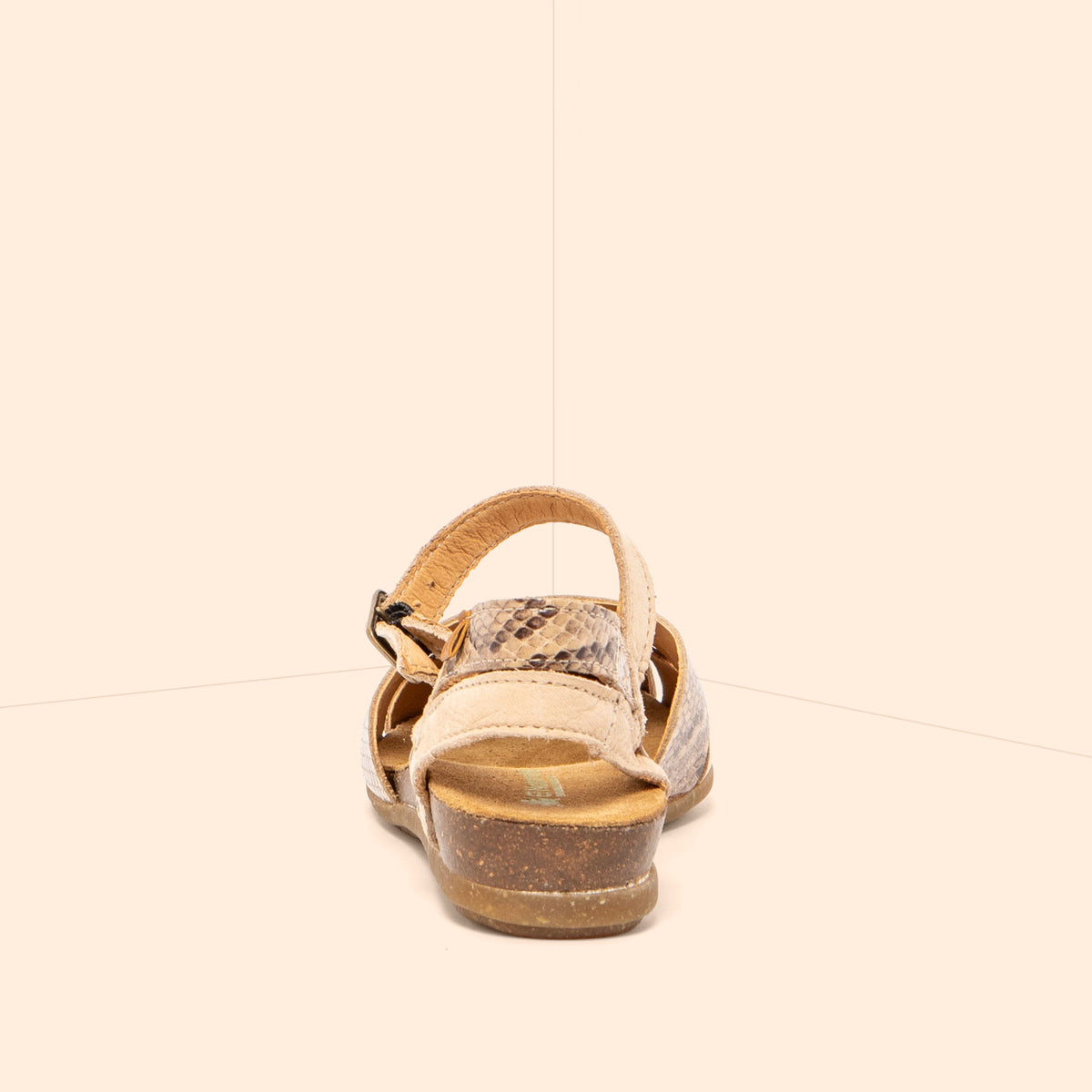 gid://shopify/Product/16124634595660_5
