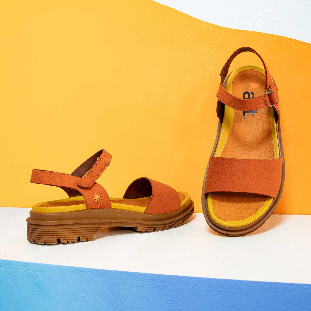 gid://shopify/Product/16172929057100_7