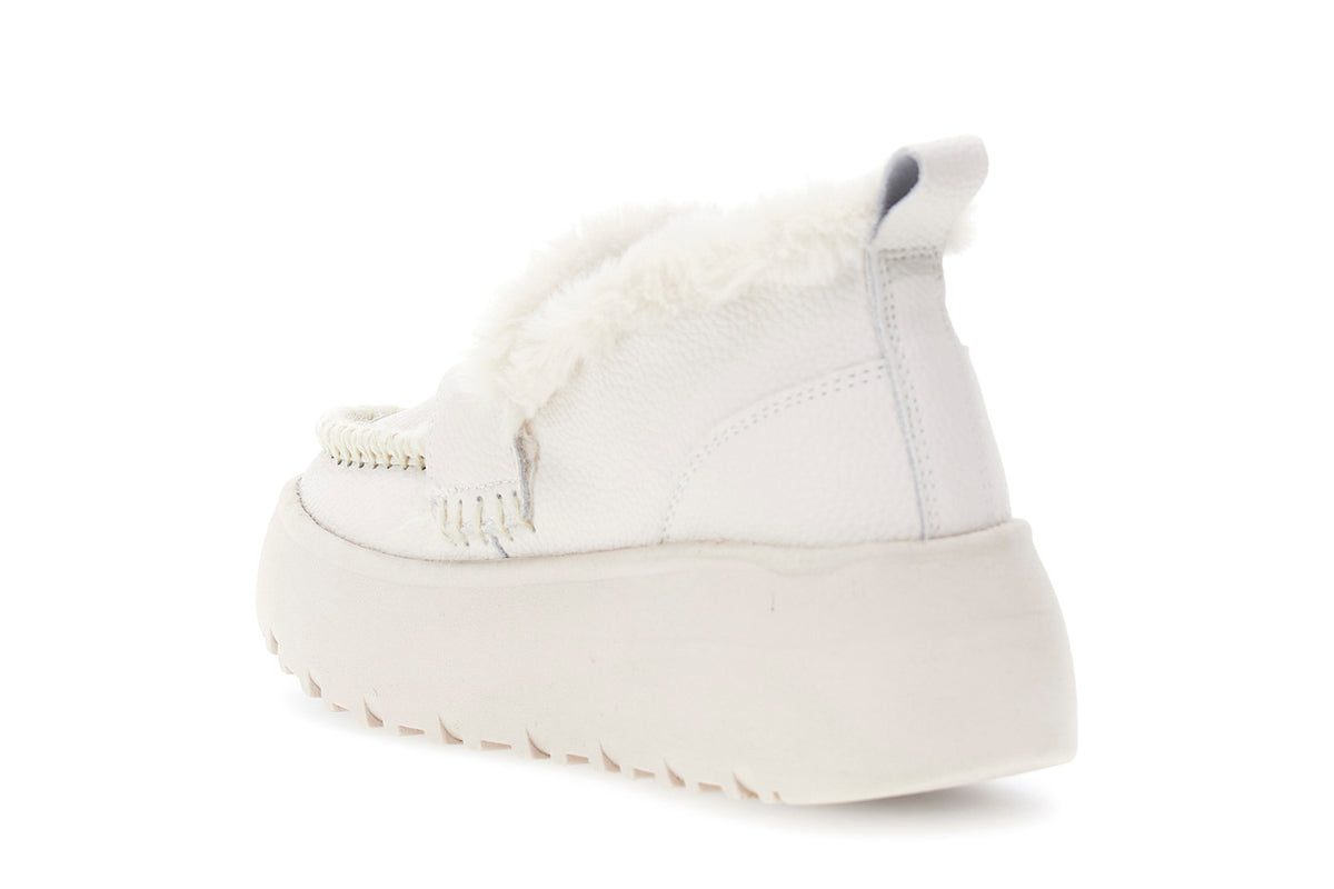 gid://shopify/Product/16176172171596_2