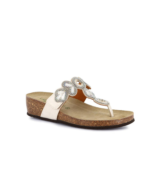 gid://shopify/Product/15939091202380_1