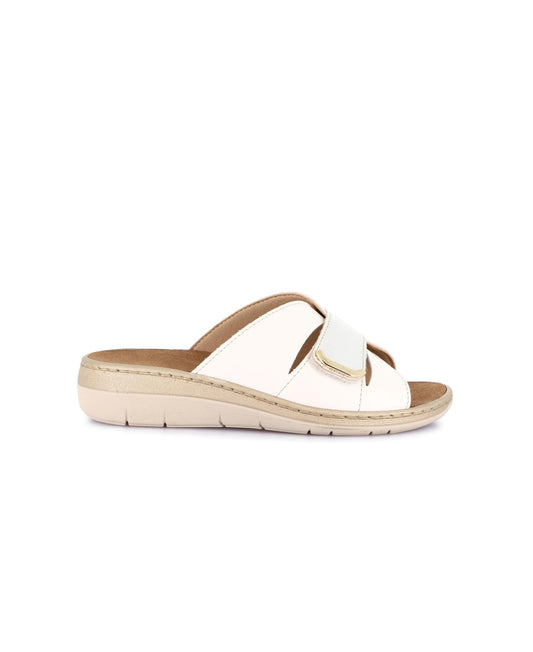 gid://shopify/Product/15738368065868_1