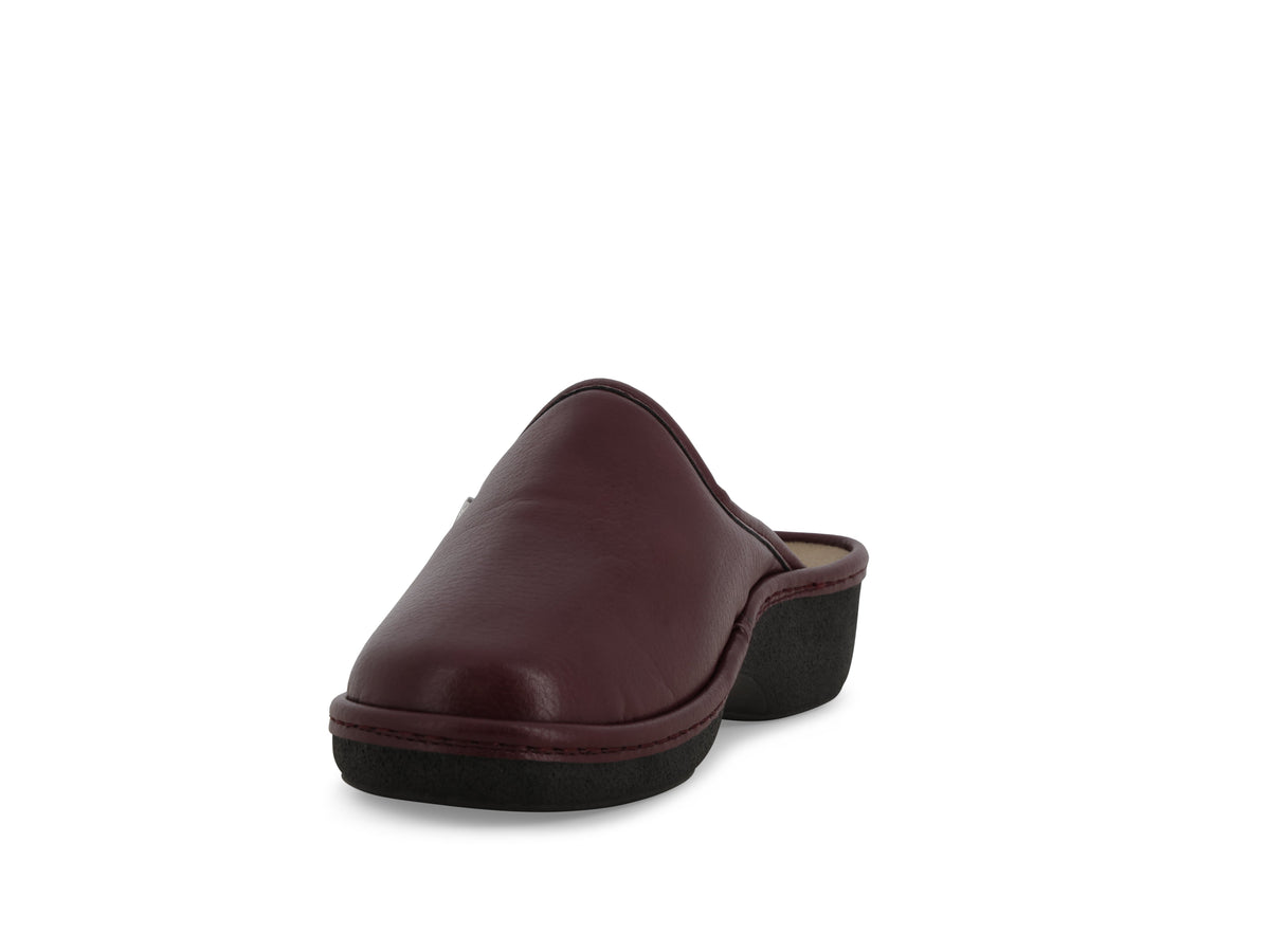 gid://shopify/Product/16156554527052_3