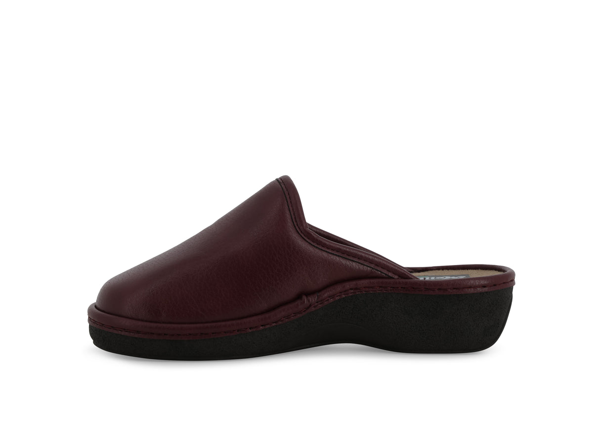 gid://shopify/Product/16156554527052_4