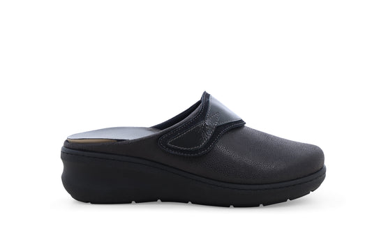 gid://shopify/Product/16118206103884_1