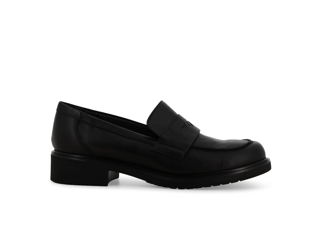 gid://shopify/Product/16156558623052_1