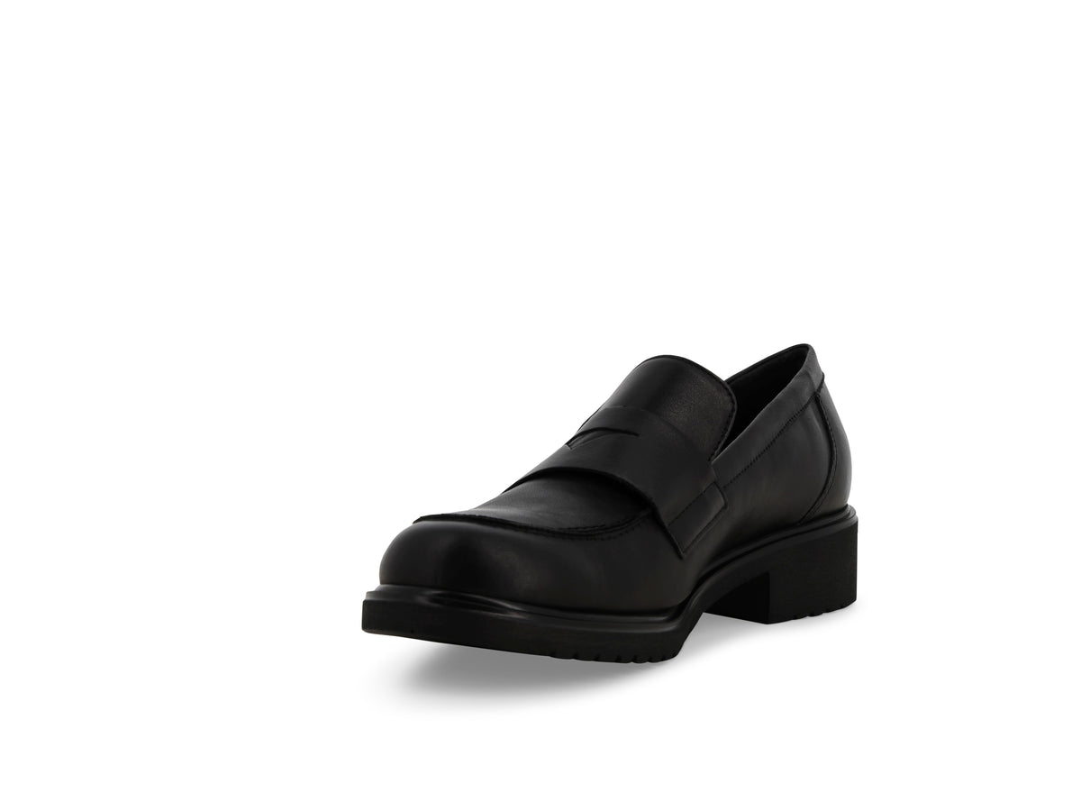 gid://shopify/Product/16156558623052_3