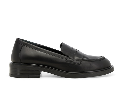 gid://shopify/Product/16118331900236_1