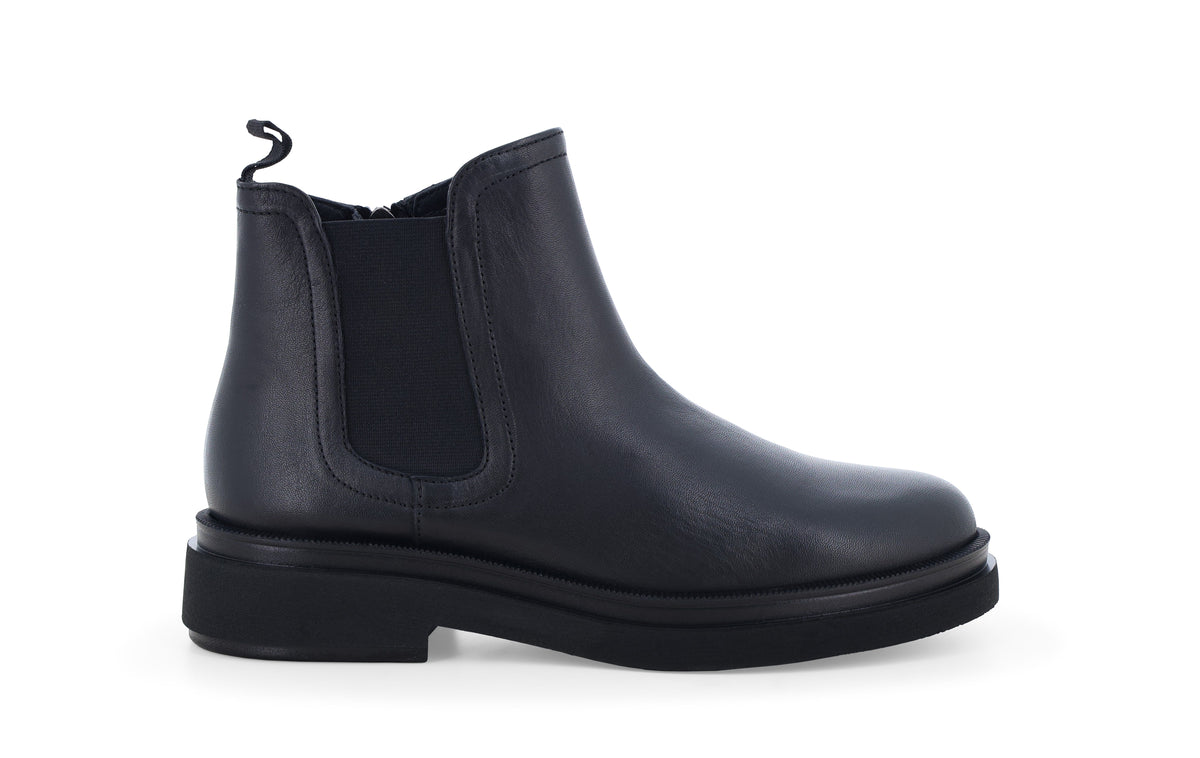 gid://shopify/Product/16156559311180_1