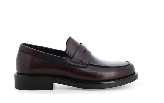 gid://shopify/Product/16156561408332_1