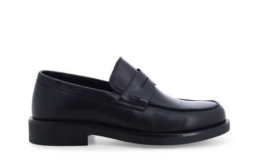 gid://shopify/Product/16156561736012_1